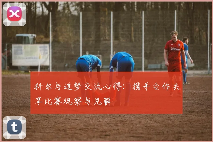科尔与追梦交流心得：携手合作共享比赛观察与见解